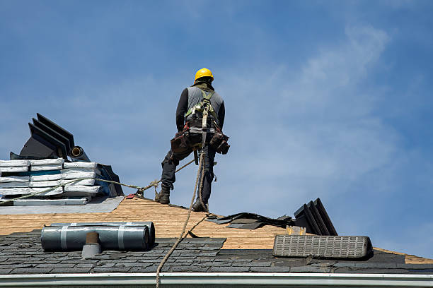 Professional Roof Inspection technician working in Sumatra, MT